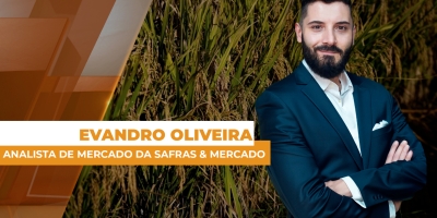 Exportação de arroz tem superávit de quase 15 mil toneladas, mas setor esperava melhor desempenho