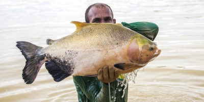 Embrapa e parceiros constroem rede de extensão e inovação em aquicultura