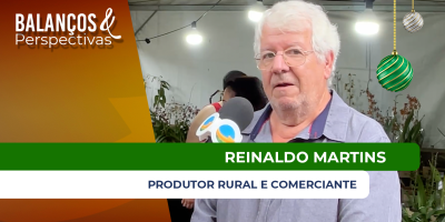 Mercado de orquídeas cresce e atrai novos produtores no Brasil