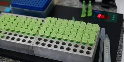 O papel da fertilidade na Inseminação Artificial, por Érikles Nogueira