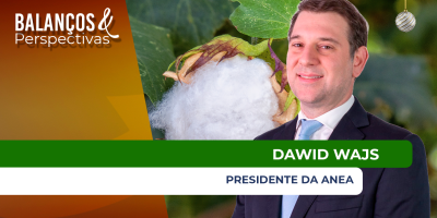 Brasil se consolida como liderança global nas exportações de algodão