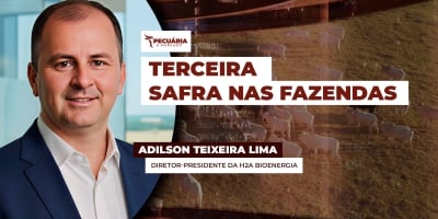 Como fazer uma terceira safra na fazenda com dejetos e resíduos orgânicos