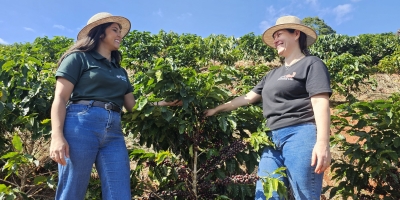 Agricultores familiares triplicam renda com investimento em torrefação e venda direta de café em Minas Gerais