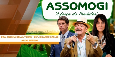 Implementação do Código Florestal e de políticas públicas seguem esbarrando em narrativas e obstáculos ideológicos no Brasil