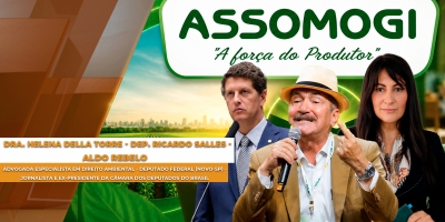 Implementação do Código Florestal e de políticas públicas seguem esbarrando em narrativas e obstáculos ideológicos no Brasil