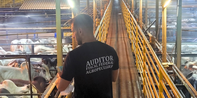 Auditores Fiscais Federais Agropecuários reforçam o combate ao desvio de cetamina em todo o país