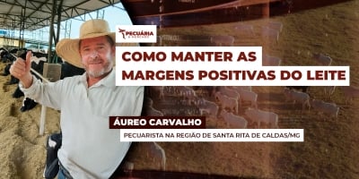Produtor consegue manter margens positivas gerenciando custo, apesar das quedas recentes do leite
