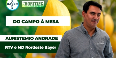 Nova tecnologia para melão promete elevar a produtividade e ampliar a vida pós-colheita