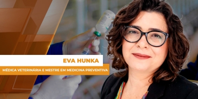 Vacinação em aves e suínos exige estratégia para garantir sanidade e lucro