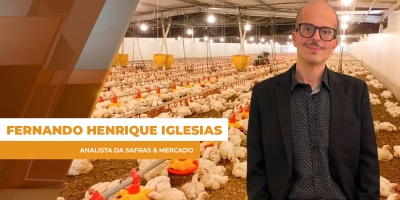 Frango recua em março com demanda fraca e tensão no cenário externo