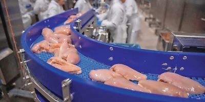 Conflito no Oriente Médio interrompe cadeias de suprimento e pressiona exportações de frango no mundo