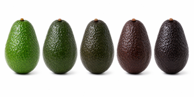Amadurecimento do abacate: como os geradores catalíticos apoiam a tendência dos produtos prontos para consumo com a aplicação confiável de etileno