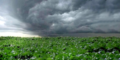 Chuvas concentram-se no Centro-Norte e favorecem lavouras, enquanto Sul registra menor volume e restrição à soja