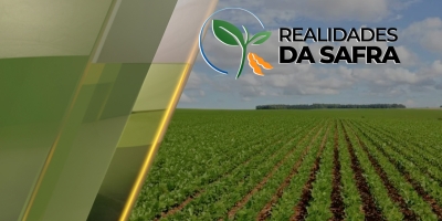 Realidades da Safra - Edição 18-06-2026 - Íntegra do Programa