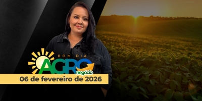 Aumento das exportações do agro do BR, competitividade do milho, baixas do açúcar e reforma tributária