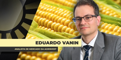 Apesar da importância do Irã, mercado brasileiro de milho ainda não sentirá impactos do conflito; riscos e tempo no radar