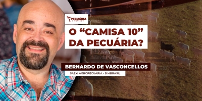 Criada no Brasil, raça Simbrasil aposta em adaptação e eficiência no campo