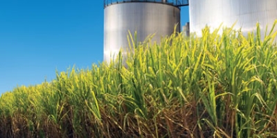 UNICA: Usinas priorizam etanol no início de safra e vendas no Centro-Sul totalizam 1,25 bilhão de litros