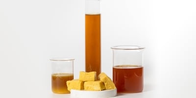 Sebo bovino vive fase histórica com produção recorde e biodiesel absorvendo mais da metade da oferta