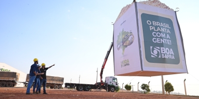 Ações do produtor de sementes de soja Boa Safra caem com corte em recomendação do Itaú BBA