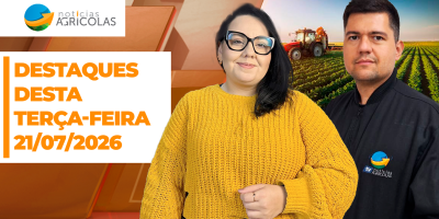 Boa tarde Agronegócio - Confira os principais destaques desta terça-feira