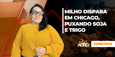 BOA TARDE AGRONEGÓCIO - Milho dispara em Chicago, puxando soja e trigo