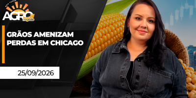 BOA TARDE AGRO - Grãos amenizam perdas em Chicago