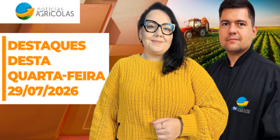 Boa tarde Agronegócio - Confira os principais destaques desta quarta-feria (29)