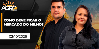 Boa Tarde Agro - Como deve ficar o mercado do milho?