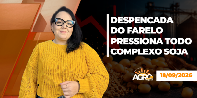 BOA TARDE AGRONEGÓCIO - Farelo despenca quase 4% em Chicago, soja e óleo acompanham perdas