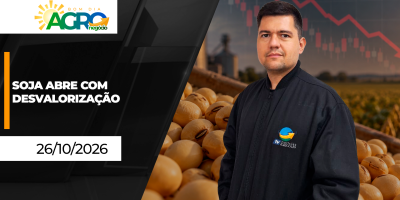 Bom Dia Agro - Soja abre a segunda-feira recuando mais de 1% e Brasil confirma mais um caso de Newcastle em SC