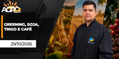 BOA TARDE AGRO - Greening muda estratégias na citricultura; Soja, trigo  café fecham quarta-feira em baixa
