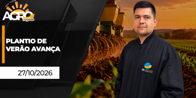 Boa Tarde Agro - Plantios de verão avançam, mas chuva ainda limitam trabalhos no Sul
