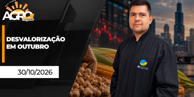 BOA TARDE AGRO - Outubro se encerra com soja e milho acumulando desvalorizações em Chicago