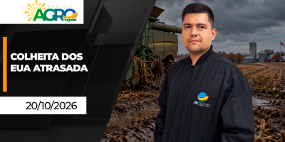 Colheitas seguem atrasadas nos EUA; Custo do milho 26/27 está 11% mais caro
