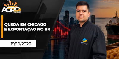 Boa Tarde Agro - Queda em Chicago e exportação no BR