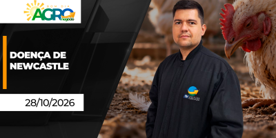 Bom Dia Agro - Novo caso da doença de Newcastle é confirmado em Santa Catarina