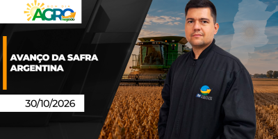 Bom Dia Agro - Argentina avança com plantio da soja, milho e arroz em boas condições de clima