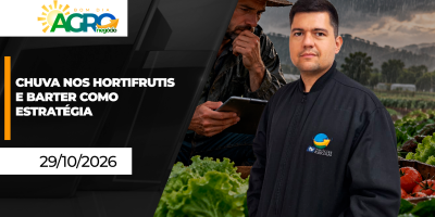 Chuva prejudica trabalhos e qualidade das hortaliças, mas permite avanço do plantio da soja em MS