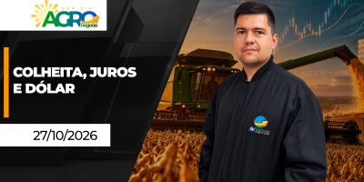 Colheita de soja e milho avança nos EUA, enquanto no Brasil, dólar e juros respondem pós-eleição