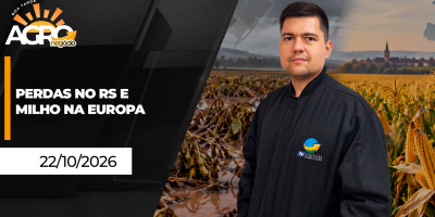 Boa Tarde Agro - Perdas no RS e milho na Europa
