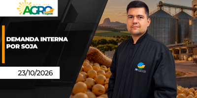 Bom Dia Agro - Demanda por soja no Brasil pode mudar em 2027; preços do feijão em alta