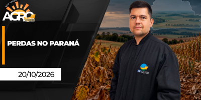 Paraná segue pressionado pelo clima e perdas começam a aumentar nas lavouras de inverno e verão