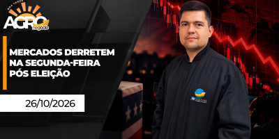 Boa Tarde Agro - Mercados derretem na segunda-feira pós eleição
