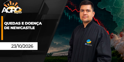 Boa Tarde Agro - Semana de baixa para os preços e mercado brasileiro atento à doença de Newcastle