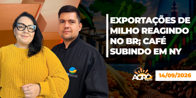 BOA TARDE AGRONEGÓCIO - Exportações de milho reagindo no BR; café subindo em NY