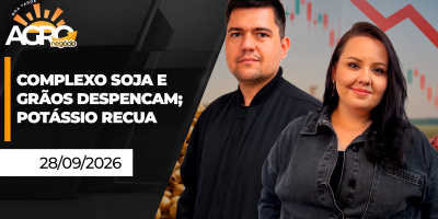 Boa Tarde Agro - Complexo soja e grãos despencam; Potássio recua