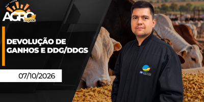 Boa Tarde Agro -  Devolução de ganhos e DDG/DDGS