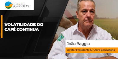 Demanda por açúcar aquece e Nova Ioque consolida cotações acima de 18 cents
