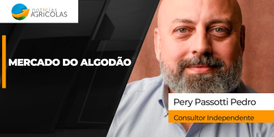 Safra brasileira de algodão 25/26 é revisada para 4,271 milhões de toneladas de pluma